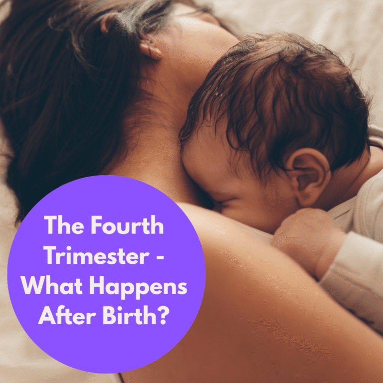 The fourth Trimester - What happens after birth