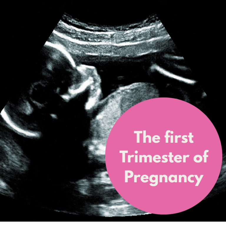 The first trimester of pregnancy - Baby Tyme Ultrasound Studio